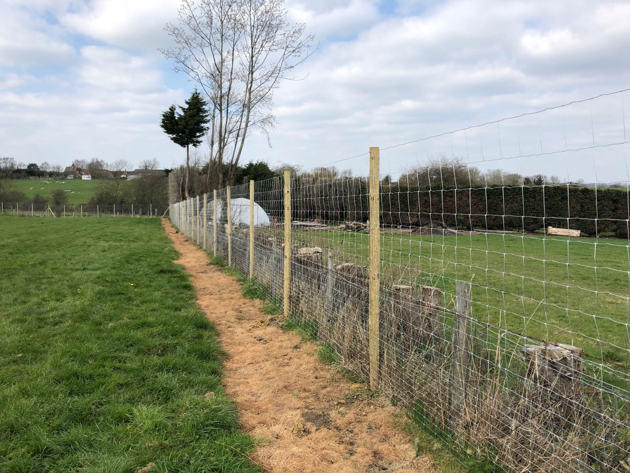 Agricultural East Sussex Fencing